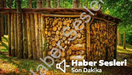 Enerji Depolama Sistemleri