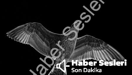 Holografik Ekranlar: Gerçeküstü bir deneyim