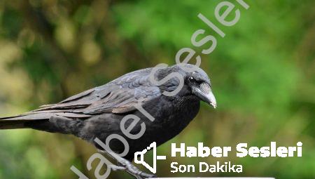 Ezoterik Astroloji: Doğum Haritanızda Gizlenen İpuçları
