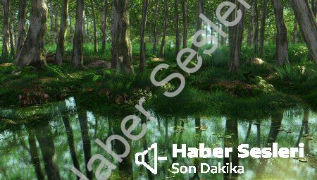Ezoterik Astrolojinin Derinliklerine Bir Yolculuk