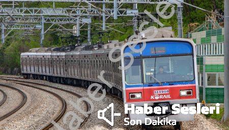 MTA Terimler