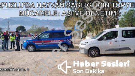 Karpuzlu’da Hayvan Sağlığı İçin Topyekün Mücadele: Aşı ve Denetim