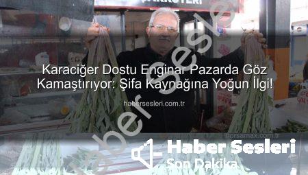 Karaciğer Dostu Enginar Pazarda Göz Kamaştırıyor: Şifa Kaynağına Yoğun İlgi!