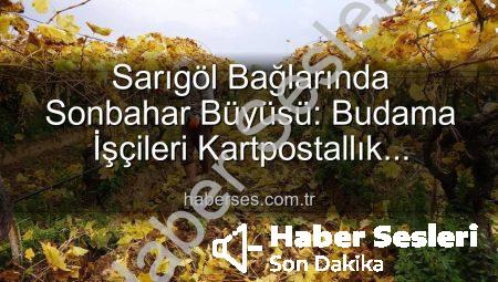 Sarıgöl’de Sonbaharın Büyüsü: Üzüm Bağlarında Kartpostallık Görüntüler Eşliğinde Budama Mesaisi