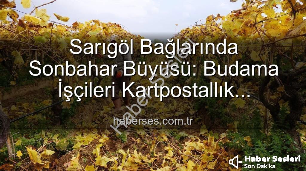 Sarıgöl üzüm bağları - Sarıgöl'de Sonbaharın Büyüsü: Üzüm Bağlarında Kartpostallık Görüntüler Eşliğinde Budama Mesaisi