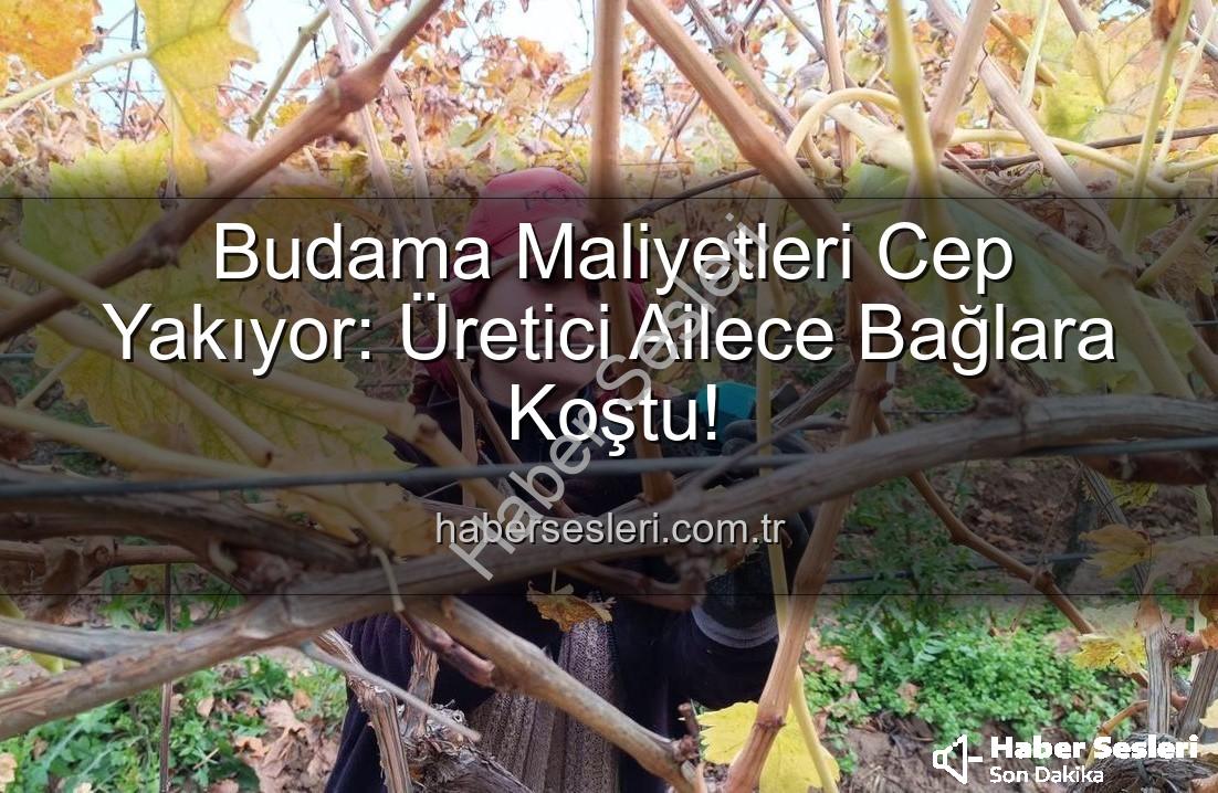 budama maliyeti - Budama Maliyetleri Cep Yakıyor: Üretici Ailece Bağlara Koştu!
