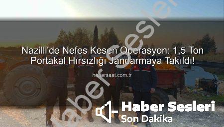 Nazilli’de Nefes Kesen Operasyon: 1.5 Ton Portakal Hırsızlığı Jandarmaya Takıldı!