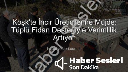 Köşk’te İncir Üreticilerine Müjde: Tüplü Fidan Desteğiyle Verimlilik Artıyor