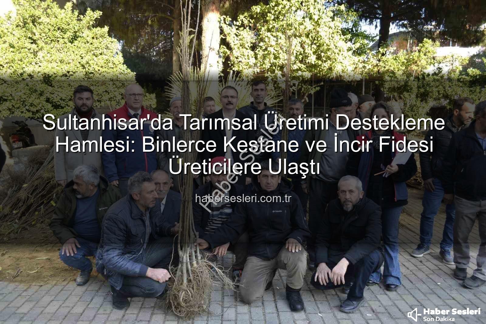 sultanhisar fide dağıtımı - Sultanhisar'da Tarımsal Üretimi Destekleme Hamlesi: Binlerce Kestane ve İncir Fidesi Üreticilere Ulaştı