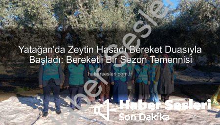 Yatağan’da Zeytin Hasadı Bereket Duasıyla Başladı: Bereketli Bir Sezon Temennisi