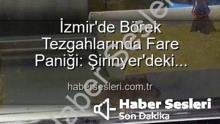 İzmir’de Börek Tezgahlarında Fare Paniği: Şirinyer’deki İşletmeye Zabıta Mührü!