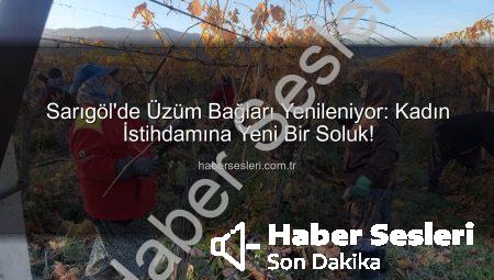Sarıgöl’de Üzüm Bağları Yenileniyor: Kadın İstihdamına Yeni Bir Soluk!