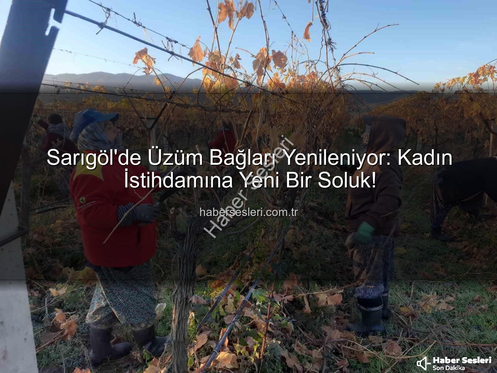 kadın istihdamı - Sarıgöl'de Üzüm Bağları Yenileniyor: Kadın İstihdamına Yeni Bir Soluk!
