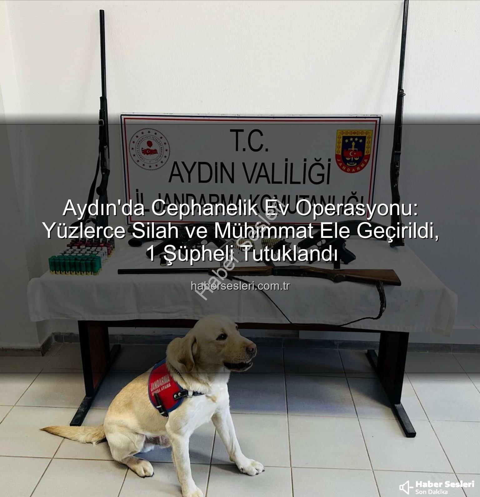 Aydın silah operasyonu - Aydın'da Cephanelik Ev Operasyonu: Yüzlerce Silah ve Mühimmat Ele Geçirildi, 1 Şüpheli Tutuklandı