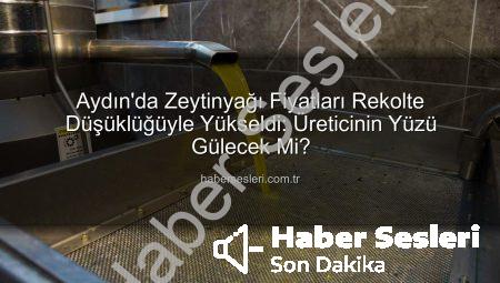 Aydın’da Zeytinyağı Fiyatları Rekolte Düşüklüğüyle Yükseldi: Üreticinin Yüzü Gülecek Mi?