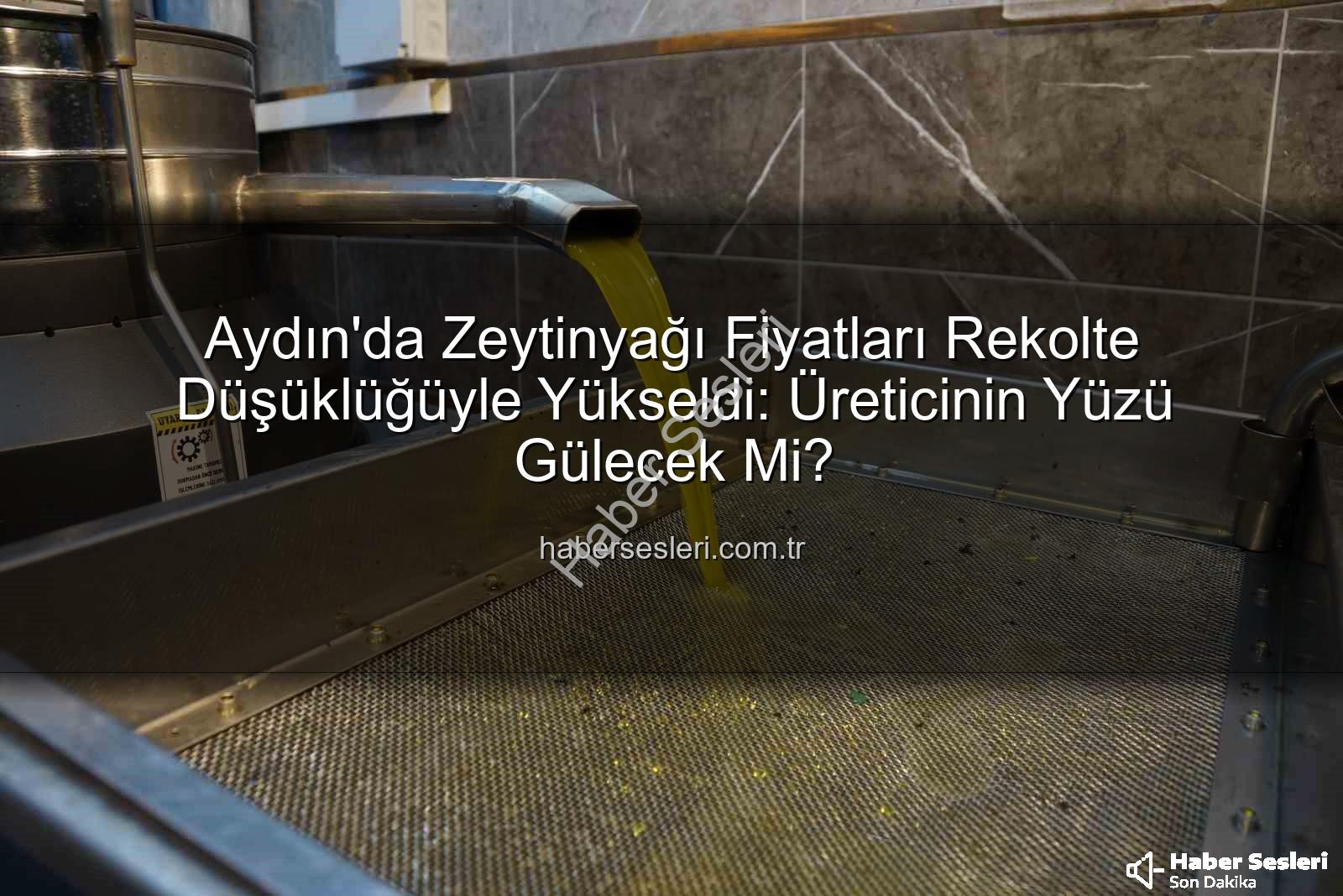 zeytinyağı fiyatları - Aydın'da Zeytinyağı Fiyatları Rekolte Düşüklüğüyle Yükseldi: Üreticinin Yüzü Gülecek Mi?