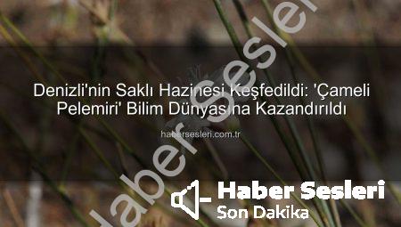 Denizli’nin Saklı Hazinesi Keşfedildi: ‘Çameli Pelemiri’ Bilim Dünyasına Kazandırıldı