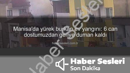 Manisa’da yürek burkan ev yangını: 6 can dostumuzdan geriye duman kaldı
