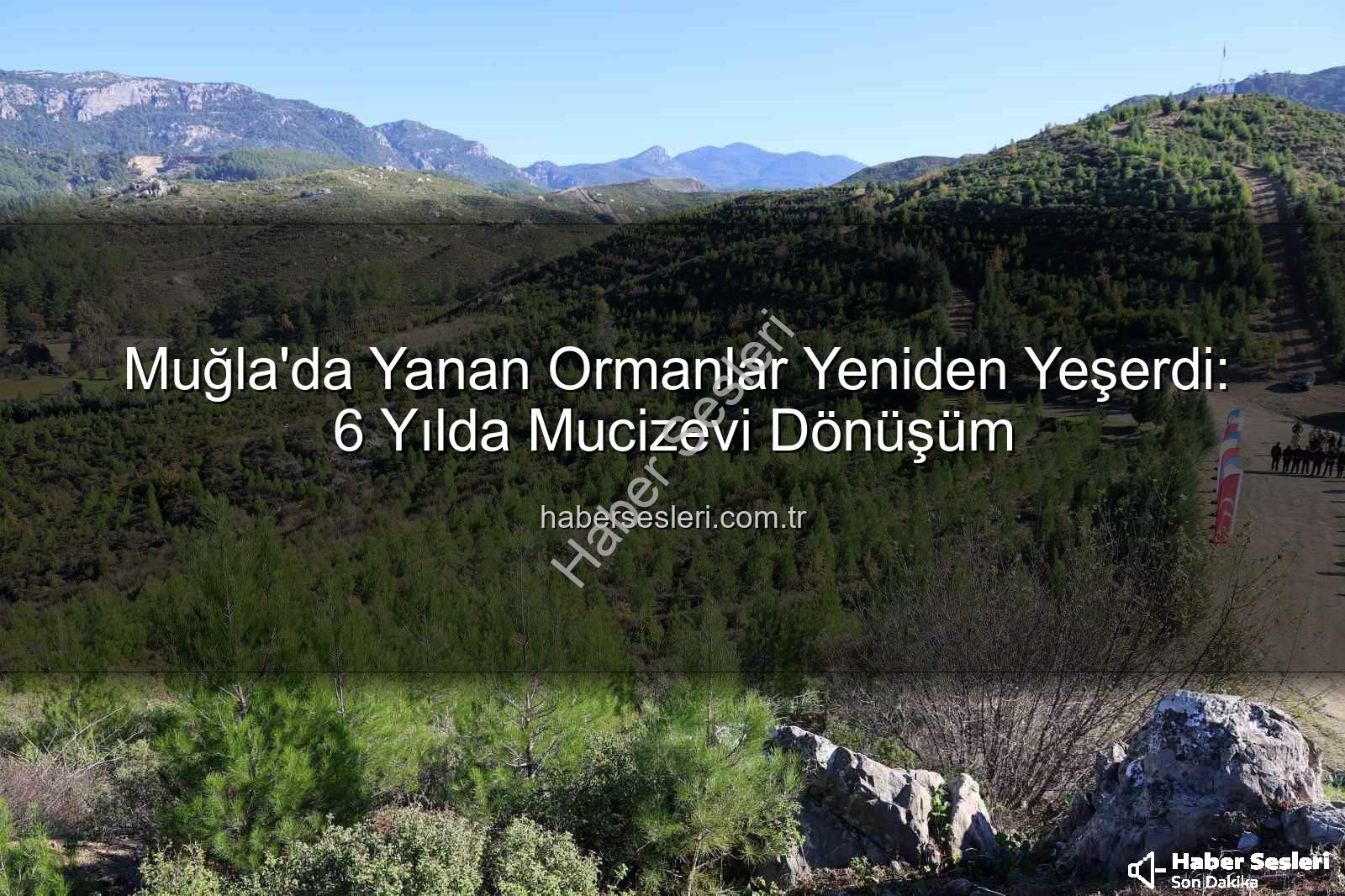 yanan ormanlar - Muğla'da Yanan Ormanlar Yeniden Yeşerdi: 6 Yılda Mucizevi Dönüşüm