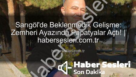 Sarıgöl’de Beklenmedik Gelişme: Zemheri Ayazında Papatyalar Açtı! | habersesleri.com.tr
