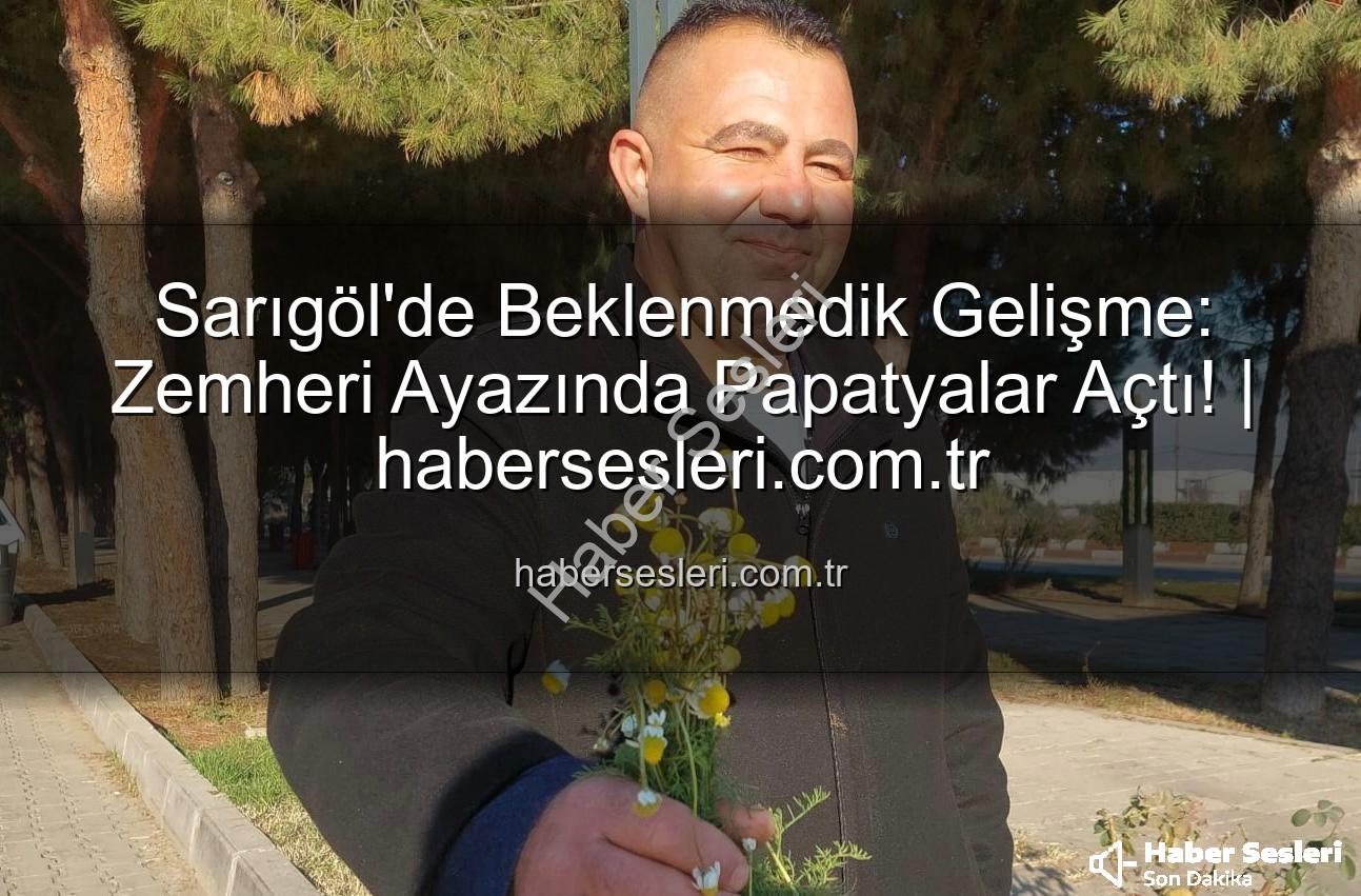 zemheri papatyaları - Sarıgöl'de Beklenmedik Gelişme: Zemheri Ayazında Papatyalar Açtı! | habersesleri.com.tr